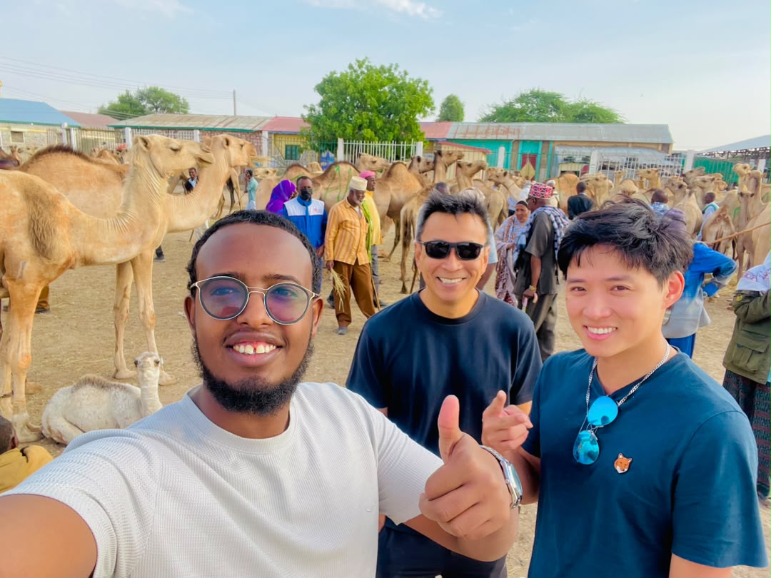 Hargeisa city, Livestock market, & War memorial